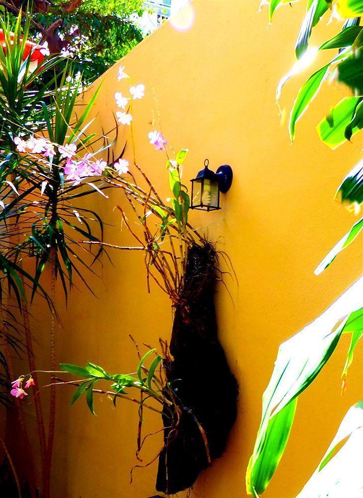 Canario Boutique Hotel San Juan Exteriér fotografie